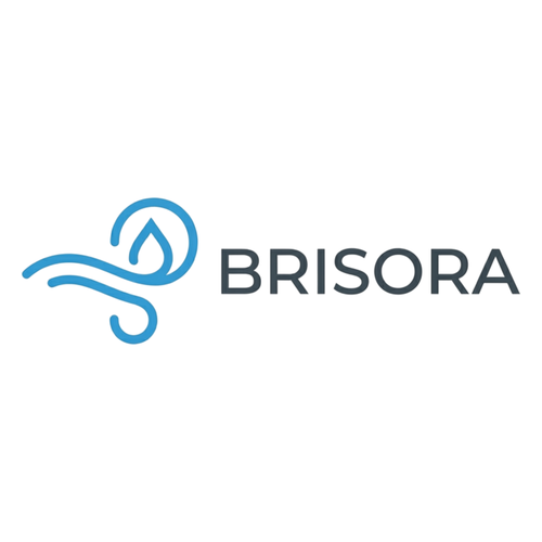 Brisora